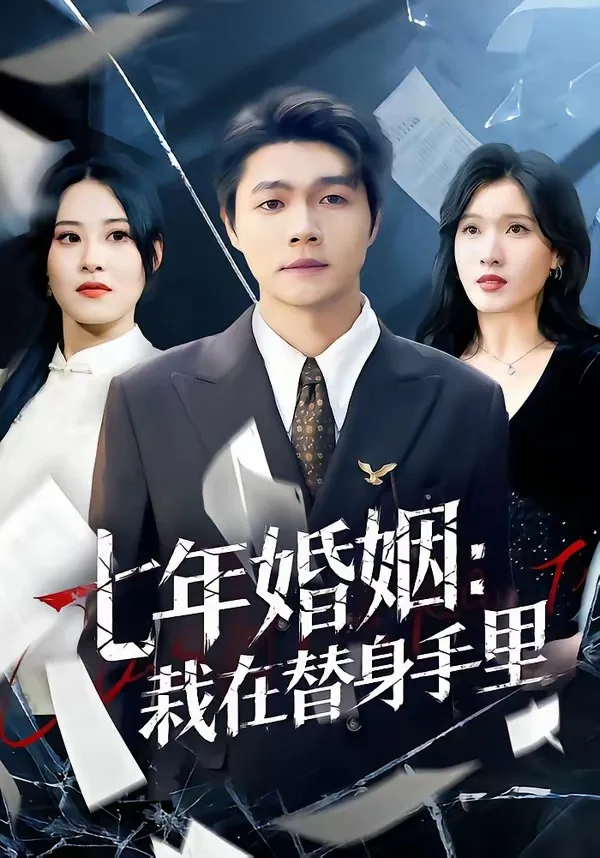 七年婚姻:栽在替身手里