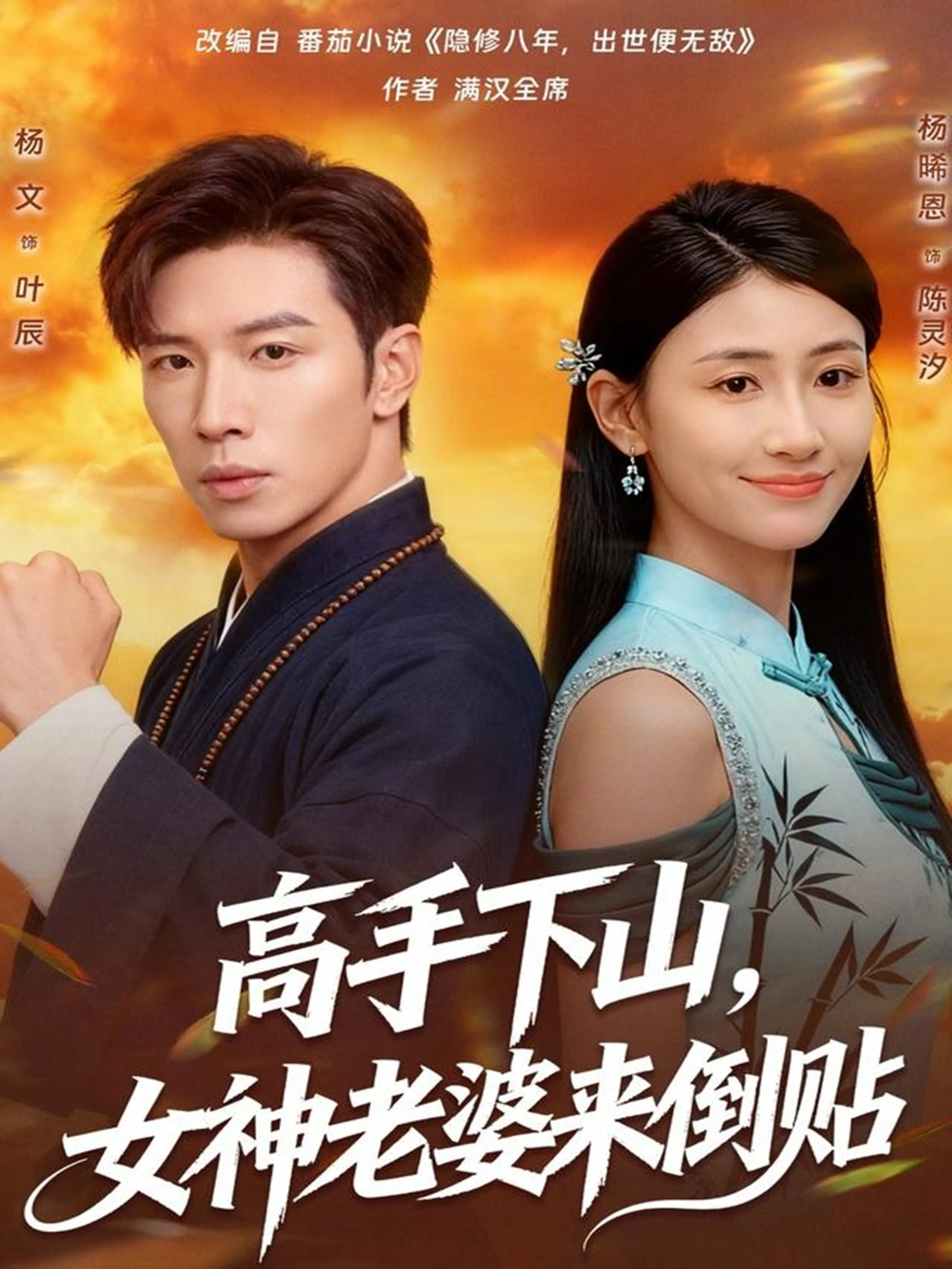 高手下山,女神老婆来倒贴