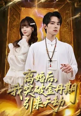 离婚后,我突破金丹期,引来天劫