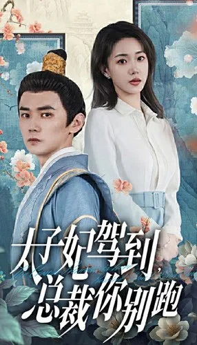 太子妃驾到,总裁你别跑