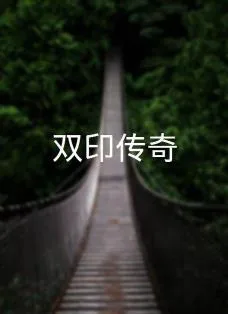 双印传奇