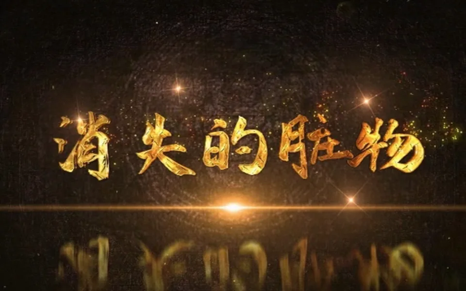 消失的脏物