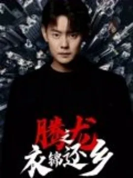 腾龙之衣锦还乡