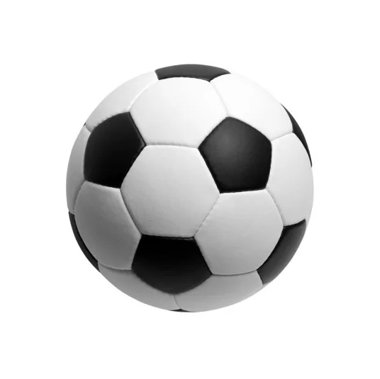 3月16日 25-26赛季德甲第26轮 弗赖堡VS柏林联合
