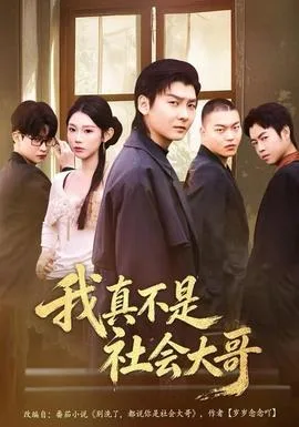 我真不是社会大哥