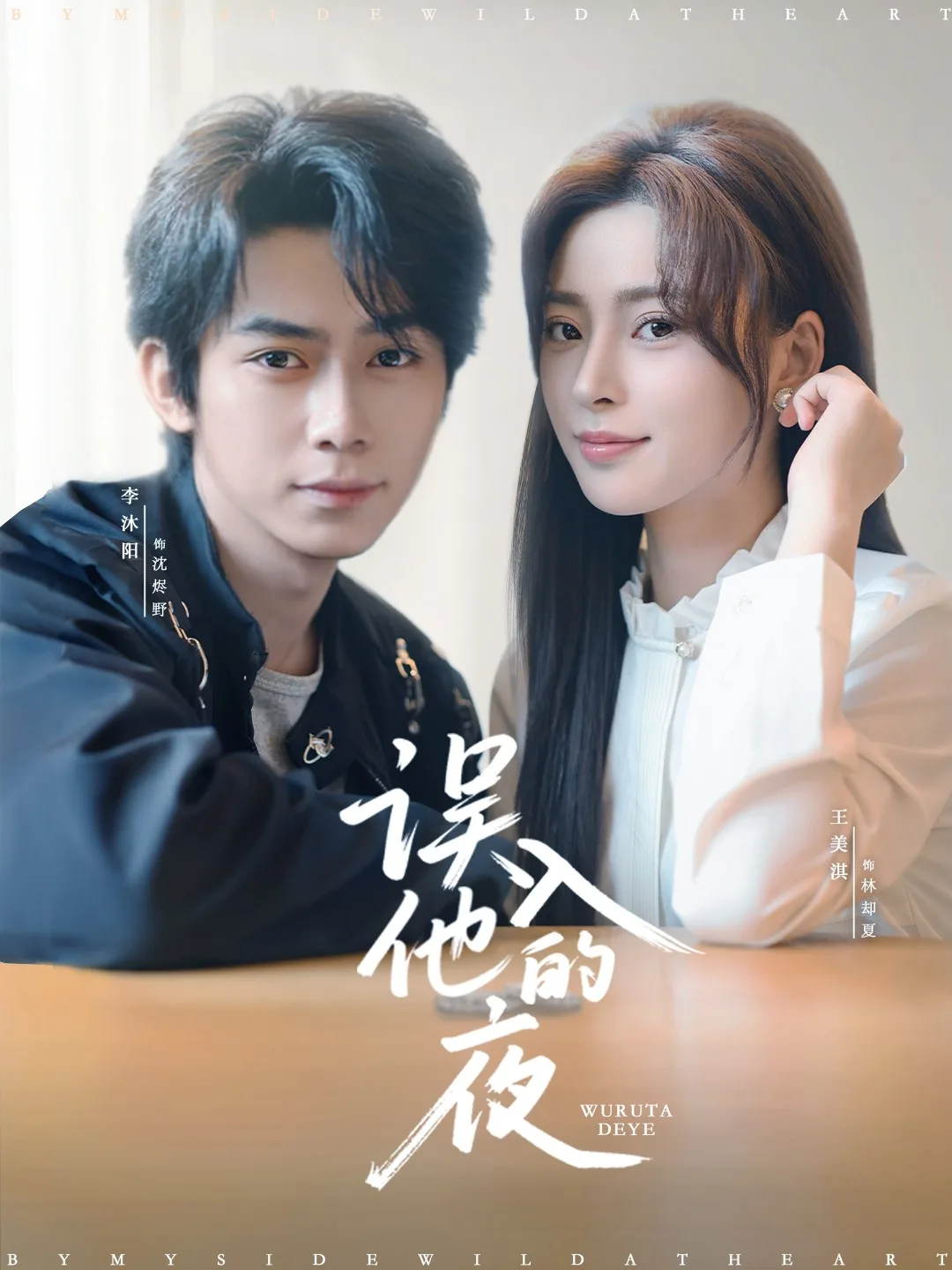 误入他的夜