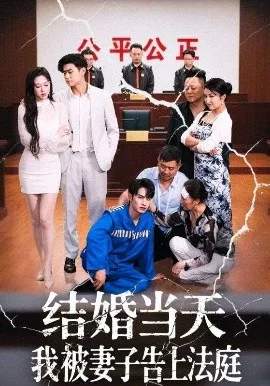 结婚当天我被妻子告上法庭