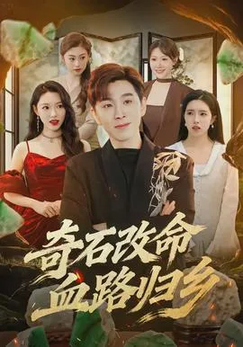 奇石改命血路归乡