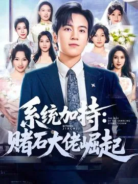 统加持:赌石大佬崛起