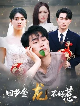 回乡金龙不好惹